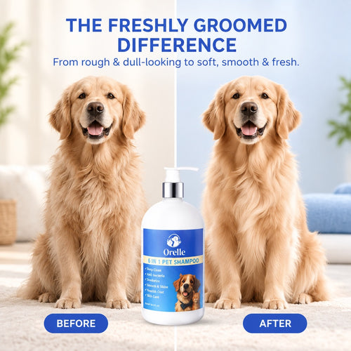 6-in-1 Complete Coat & Skin Shampoo