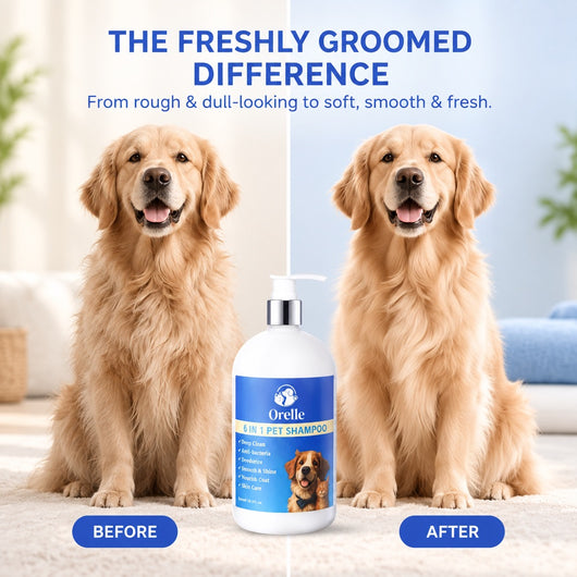 6-in-1 Complete Coat & Skin Shampoo