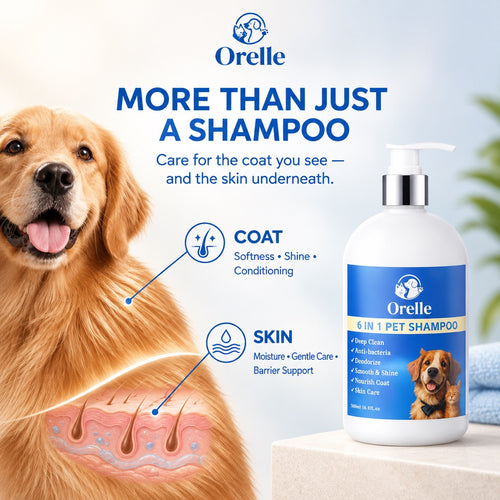 6-in-1 Complete Coat & Skin Shampoo