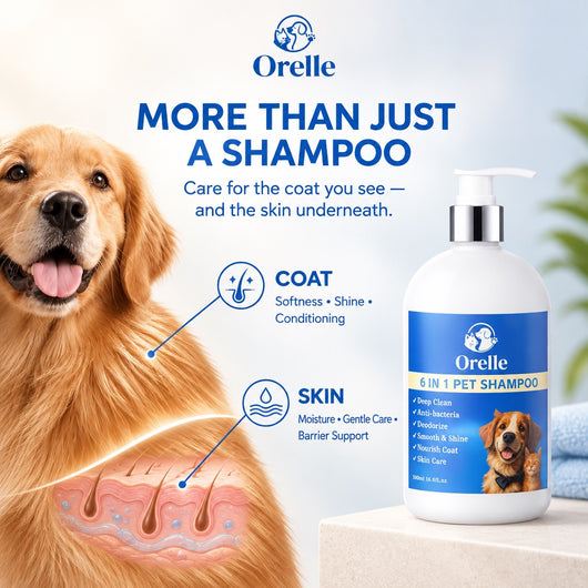 6-in-1 Complete Coat & Skin Shampoo
