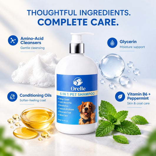 6-in-1 Complete Coat & Skin Shampoo