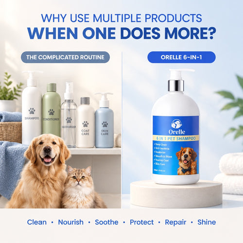 6-in-1 Complete Coat & Skin Shampoo