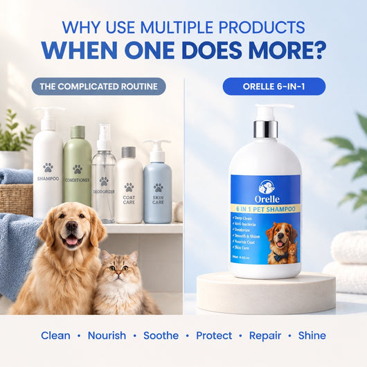6-in-1 Complete Coat & Skin Shampoo