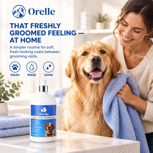 6-in-1 Complete Coat & Skin Shampoo