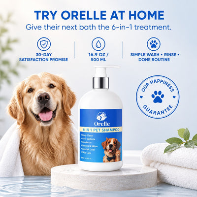 6-in-1 Complete Coat & Skin Shampoo