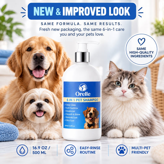 6-in-1 Complete Coat & Skin Shampoo