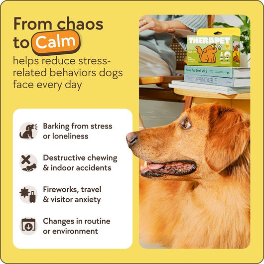 CalmPaws 60-Day Dog Calming Diffuser