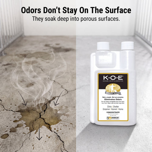 FreshPaws Kennel Odor Spray