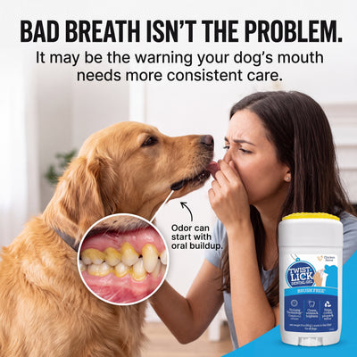 Brush-Free 30 Second Dog Dental Solution