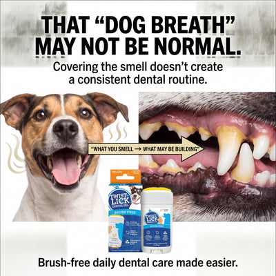 Brush-Free 30 Second Dog Dental Solution