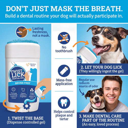 Brush-Free 30 Second Dog Dental Solution