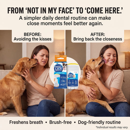 Brush-Free 30 Second Dog Dental Solution