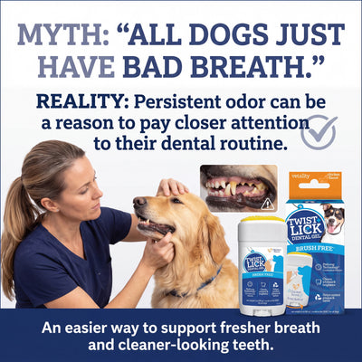 Brush-Free 30 Second Dog Dental Solution